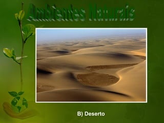 B) Deserto
 