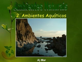 2. Ambientes Aquáticos




         A) Mar
 