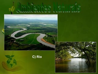 C) Rio
 
