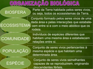 Parte da Terra habitada pelos seres vivos,
  BIOSFERA         ou seja, todos os ecossistemas da Terra.
           Conjunto formado pelos seres vivos de uma
           dada área e pelas interacções que estabele-
ECOSSISTEMA cem entre si e com o meio abiótico que os
            rodeia.
                   Indivíduos de espécies diferentes que
COMUNIDADE         habitam uma mesma área e estabelecem
                   relações entre si.
                   Conjunto de seres vivos pertencentes à
 POPULAÇÃO         mesma espécie e que habitam uma
                   determinada área.
                   Conjunto de seres vivos semelhantes
   ESPÉCIE         capazes de se reproduzirem, originando
                   descendentes férteis.
 