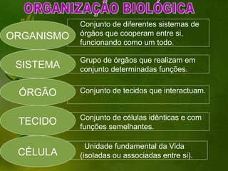 Conjunto de diferentes sistemas de
ORGANISMO   órgãos que cooperam entre si,
            funcionando como um todo.

            Grupo de órgãos que realizam em
 SISTEMA    conjunto determinadas funções.


 ÓRGÃO      Conjunto de tecidos que interactuam.


            Conjunto de células idênticas e com
 TECIDO     funções semelhantes.

              Unidade fundamental da Vida
 CÉLULA     (isoladas ou associadas entre si).
 