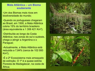 Mata Atlântica – um Bioma
          exuberante
-Um dos Biomas mais ricos em
biodiversidade do mundo;
-Quando os portugueses chegaram
ao Brasil, em 1500, a Mata Atlântica
cobria 15% do território brasileiro
(área equivalente a 1 306 421 Km²);
-Distribuída ao longo da Costa
Atlântica; nas zonas do sul e sudeste,
chega a atingir a Argentina e o
Paraguai;
-Actualmente, a Mata Atlântica está
reduzida a 7,84% (cerca de 102 000
Km²);
-É o 2º Ecossistema mais ameaçado
de extinção. O 1º é a quase extinta
Floresta de Madagáscar, na costa de
África;
 
