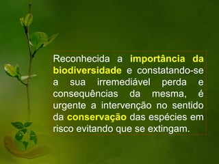 Reconhecida a importância da
biodiversidade e constatando-se
a sua irremediável perda e
consequências da mesma, é
urgente a intervenção no sentido
da conservação das espécies em
risco evitando que se extingam.
 