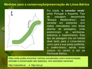 Medidas para a conservação/preservação do Lince-ibérico
                                          Foi criado “o corredor verde”
                                          entre Portugal e Espanha. Tipo
                                          de     paisagem     denominada
                                          “Bosque Mediterrâneo”, que
                                          consiste em sobreirais com
                                          matos intercalados com áreas
                                          abertas de pastagens, onde
                                          predominam      as    azinheiras,
                                          sobreiros e medronheiros. Este
                                          tipo de paisagem cria um habitat
                                          ideal tanto para o Lince-ibérico
                                          como para a sua presa preferida,
                                          o coelho-bravo, sendo muito
                                          comum no centro e sul da
                                          Península Ibérica.
  Sites onde podes encontrar notícias actualizadas sobre biodiversidade,
  extinção e conservação das espécies, com exemplos nacionais
  http://naturlink.pt   e http://icn.pt
 