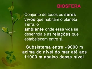 BIOSFERA
Conjunto de todos os seres
vivos que habitam o planeta
Terra, o
ambiente onde essa vida se
desenrola e as relações que
estabelecem entre si.
  Subsistema entre ≈9000 m
acima do nível do mar até aos
 11000 m abaixo desse nível
 