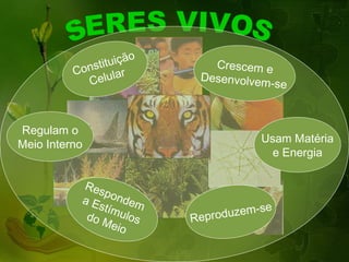 o
              t ituiçã       Crescem e
          Cons ular        Desenvolvem
            Cel                        -se



Regulam o
Meio Interno                          Usam Matéria
                                        e Energia

           Res
               p
           a E ondem
              stím
            do M ulos     Reprod uzem-se
                 eio
 