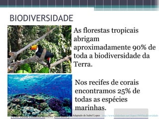 BIODIVERSIDADE As florestas tropicais abrigam aproximadamente 90% de toda a biodiversidade da Terra. Nos recifes de corais encontramos 25% de todas as espécies marinhas. Prof. Teresa Condeixa Monteiro 2009/2010 http://www.slideshare.net/ilopes1969/biodiversidade Adaptado de Isabel Lopes 