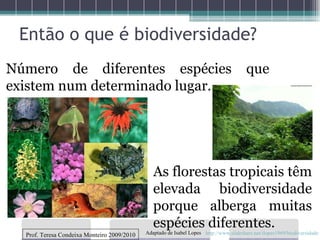 Então o que é biodiversidade? Número de diferentes espécies que existem num determinado lugar. As florestas tropicais têm elevada biodiversidade porque alberga muitas espécies diferentes. Prof. Teresa Condeixa Monteiro 2009/2010 http://www.slideshare.net/ilopes1969/biodiversidade Adaptado de Isabel Lopes 