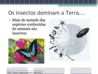 Os insectos dominam a Terra... Mais de metade das espécies conhecidas de animais são insectos; Prof. Teresa Condeixa Monteiro 2009/2010 