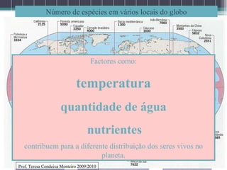 Número de espécies em vários locais do globo Factores como: temperatura quantidade de água nutrientes contribuem para a diferente distribuição dos seres vivos no planeta. Prof. Teresa Condeixa Monteiro 2009/2010 