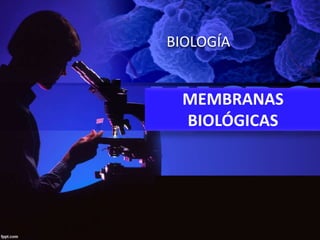 BIOLOGÍA
MEMBRANAS
BIOLÓGICAS
 