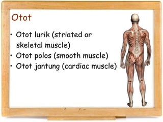 03 biomekanika | PPT