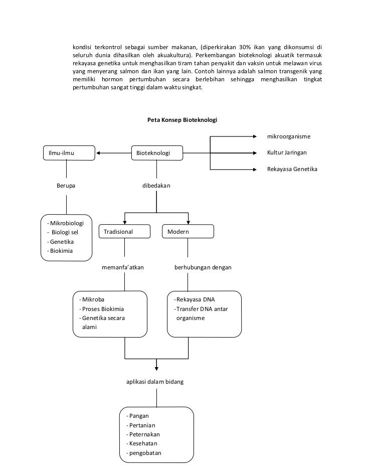 03 bioteknologi