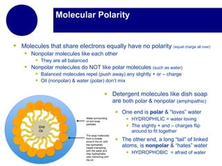 Molecular Polarity
• Molecules that share electrons equally have no polarity (equal charge all over)
• Nonpolar molecules like each other
• They are all balanced
• Nonpolar molecules do NOT like polar molecules (such as water)
• Balanced molecules repel (push away) any slightly + or – charge
• Oil (nonpolar) & water (polar) don’t mix
• Detergent molecules like dish soap
are both polar & nonpolar (amphipathic)
• One end is polar & “loves” water
• HYDROPHILIC = water loving
• The slightly + and – charges flip
around to fit together
• The other end, a long “tail” of linked
atoms, is nonpolar & “hates” water
• HYDROPHOBIC = afraid of water
 