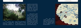 INTRODUÇÃO                                                                                               INTRODUÇÃO


                                                             recuperar os seus direitos.
                                                             Tanto proporcionava boas
                                                             colheiras,   como    ainda
                                                             lhes regava os olhos com
                                                             esplenderosas flores, tão
                                                             únicas   que   nem   el-rei
                                                             possuía tal frondosidade
                                                             no seu Paço em Lisboa.



                                                             	     Hoje em dia, a esse
                                                             tipo de floresta é dada o
                                                             nome de Laurissilva, pois
                                                             é uma floresta húmida         	
                                                             subtropical, e é na Ilha da   	
                                                             Madeira que possui maior      	      Para     além    desta
                                                             expressão     pelas    suas   riqueza regional, há um
                                                             terras altas. A Laurissilva   outro tesouro da Pérola do
	     Esta   queima     levou   água correr até onde era     da Madeira é a maior e mais   Atlântico, criado pelas mãos
7anos, o que proporcionou       precisa. Porém, a força      bem conservada mancha,        das suas mulheres hábeis
minúsculas     planícies    e   da Natureza era, e é,        ocupando uma área de          que é a imagem da Ilha: o
foram feitas levadas para a     imensa, e rapidamente quis   cerca de 15mil hectares.      Bordado Madeira.
                                                                                                                              ht tp: / /w w w.p at riciogo u ve ia .pt/ ? p age _ id = 40
 