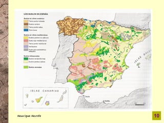 Henrique Hervés   10
 