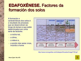 EDAFOXÉNESE. Factores da
formación dos solos
A formación e
carácterísticas dos solos é
o resultado de procesos
que se desenvolven ao
longo do tempo e que están
determinados por unha
serie de factores:
➢   a rocha nai,
➢   o clima,
➢   o relevo e,
➢   a acción dos seres vivos,
    incluído o home


                                http://www.monografias.com/trabajos33/suelos/Image7105.gif


Henrique Hervés                                                                         3
 