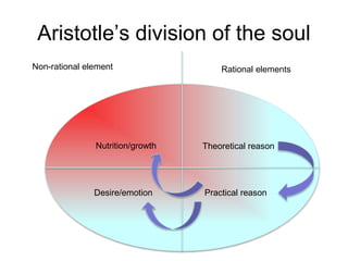 Aristotle’s division of the soul
Non-rational element Rational elements
Nutrition/growth Theoretical reason
Practical reasonDesire/emotion
 