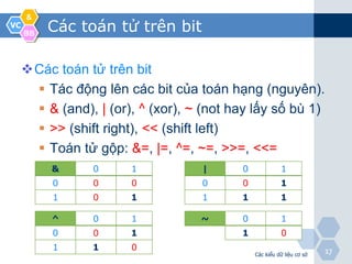 Phần 3: Các kiểu dữ liệu cơ sở | PDF