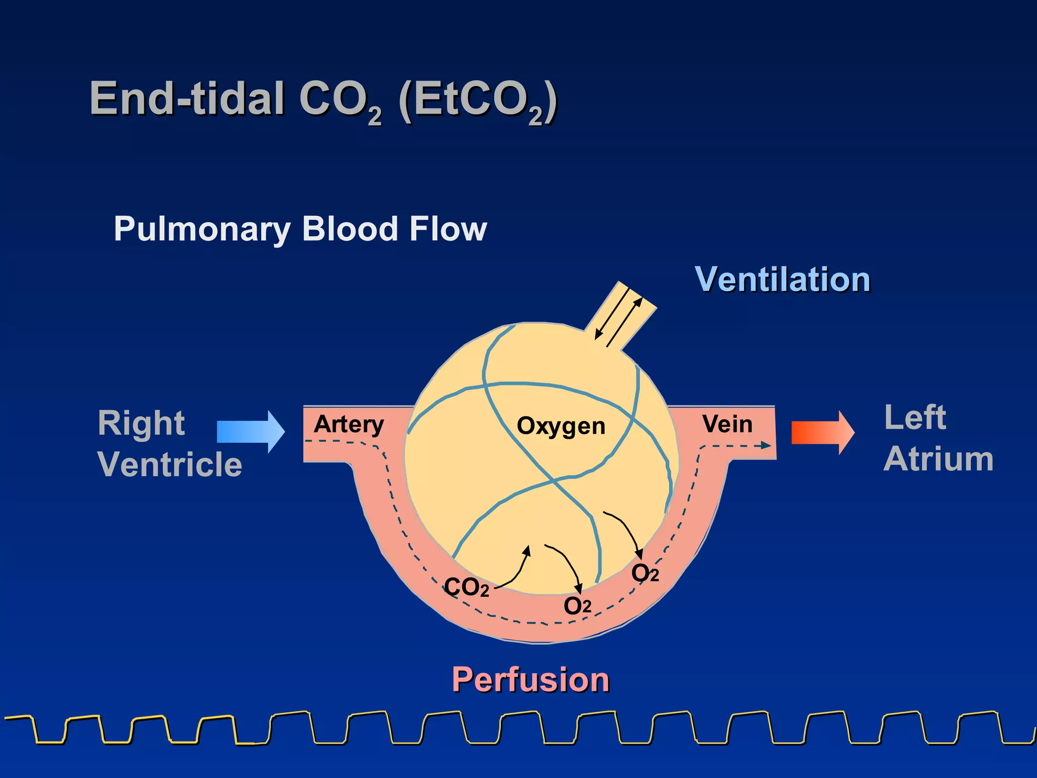 End-tidal CO 2  (EtCO 2 ) Ventilation Perfusion Pulmonary Blood Flow Right  Ventricle Left Atrium r r O x y g e n O 2 C O 2 O 2 V e i n A t e y 