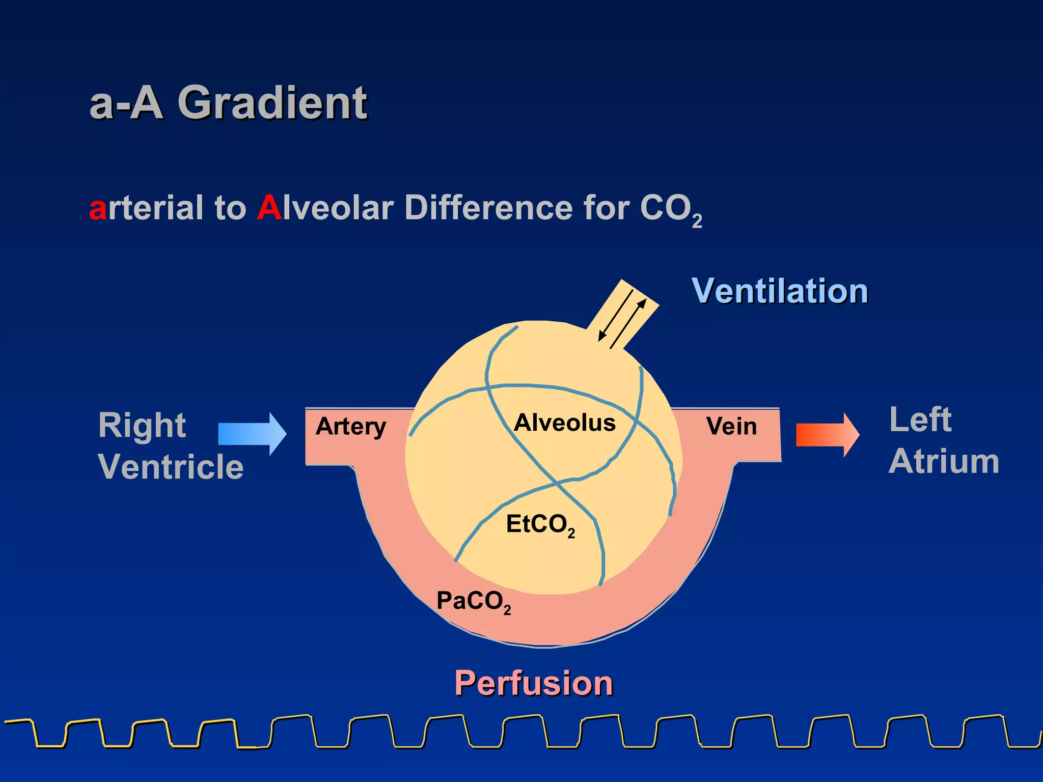 a-A Gradient r r Alveolus PaCO 2 V e i n A t e y Ventilation Perfusion a rterial to  A lveolar Difference for CO 2 Right  Ventricle Left Atrium EtCO 2 
