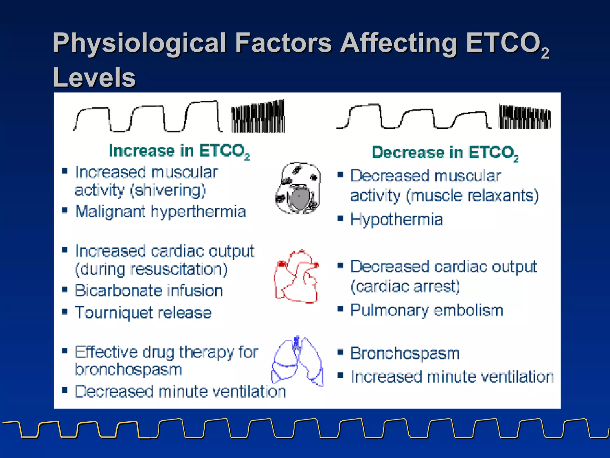 Physiological Factors Affecting ETCO 2  Levels 
