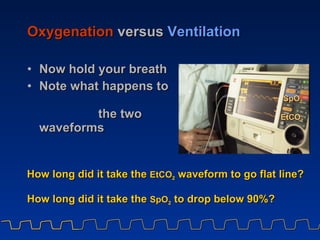 Oxygenation   versus   Ventilation <ul><li>Now hold your breath </li></ul><ul><li>Note what happens to  the two waveforms ...