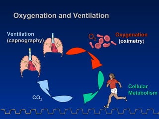 Oxygenation and Ventilation Oxygenation (oximetry ) Cellular Metabolism Ventilation (capnography) CO 2 O 2 
