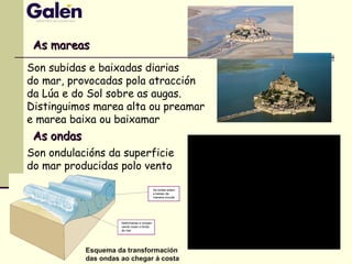 As mareasAs mareas
Son subidas e baixadas diarias
do mar, provocadas pola atracción
da Lúa e do Sol sobre as augas.
Distinguimos marea alta ou preamar
e marea baixa ou baixamar
As ondasAs ondas
Esquema da transformación
das ondas ao chegar á costa
Son ondulacións da superficie
do mar producidas polo vento
 