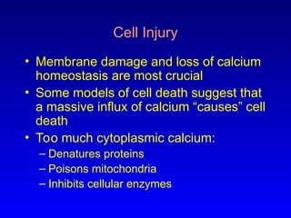 03 cell death and cell injury presentation .ppt