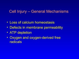 03 cell death and cell injury presentation .ppt