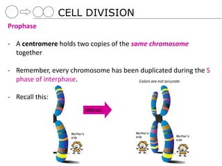 03 cell division | PPT