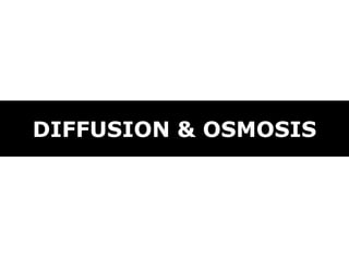 DIFFUSION & OSMOSIS
 