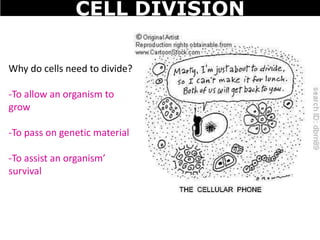 03 Diffusion, osmosis, and cell division | PPT