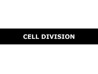 CELL DIVISION
 