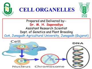 CELL ORGANELLES
Prepared and Delivered by:-
Dr. M. H. Sapovadiya
Assistant Research Scientist
Dept. of Genetics and Plant Breeding
CoA, Junagadh Agricultural University, Junagadh (Gujarat)
 