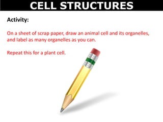 03 cell structures | PPTX