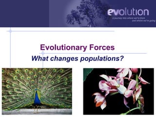 Evolutionary Forces
             What changes populations?




AP Biology                               2007-2008
 