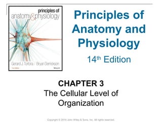 CHAPTER 3
The Cellular Level of
Organization
Copyright © 2014 John Wiley & Sons, Inc. All rights reserved.
Principles of
Anatomy and
Physiology
14th
Edition
 