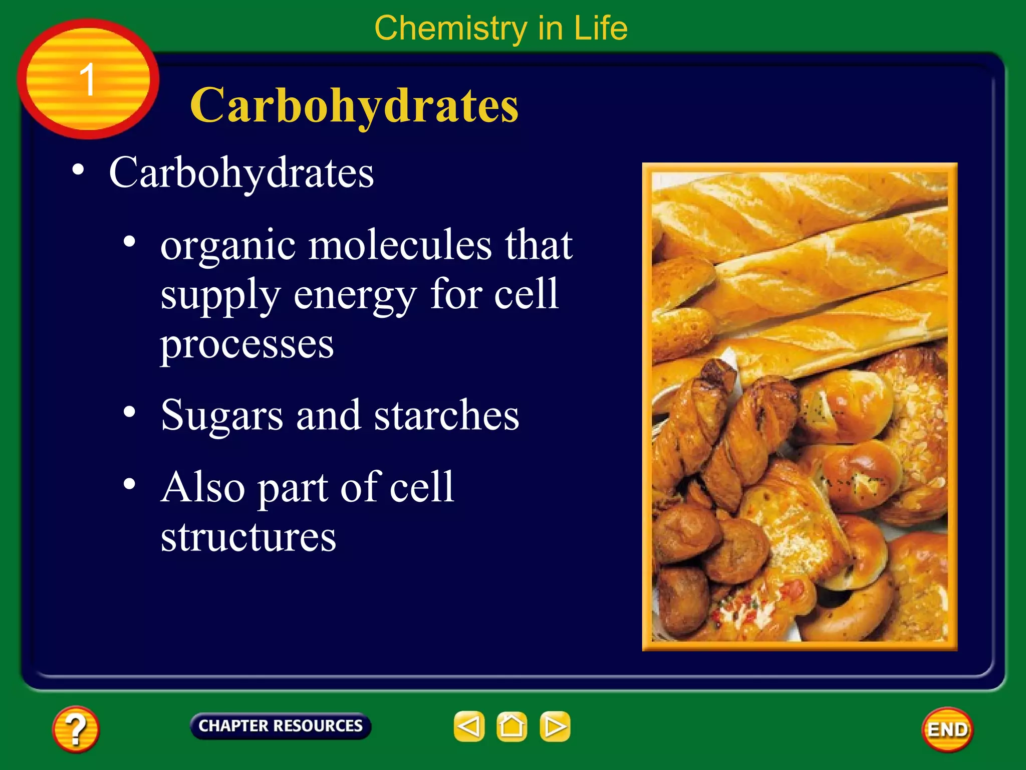 Chemistry in Life
1
       Carbohydrates
• Carbohydrates
    • organic molecules that
      supply energy for cell
      processes
    • Sugars and starches
    • Also part of cell
      structures
 