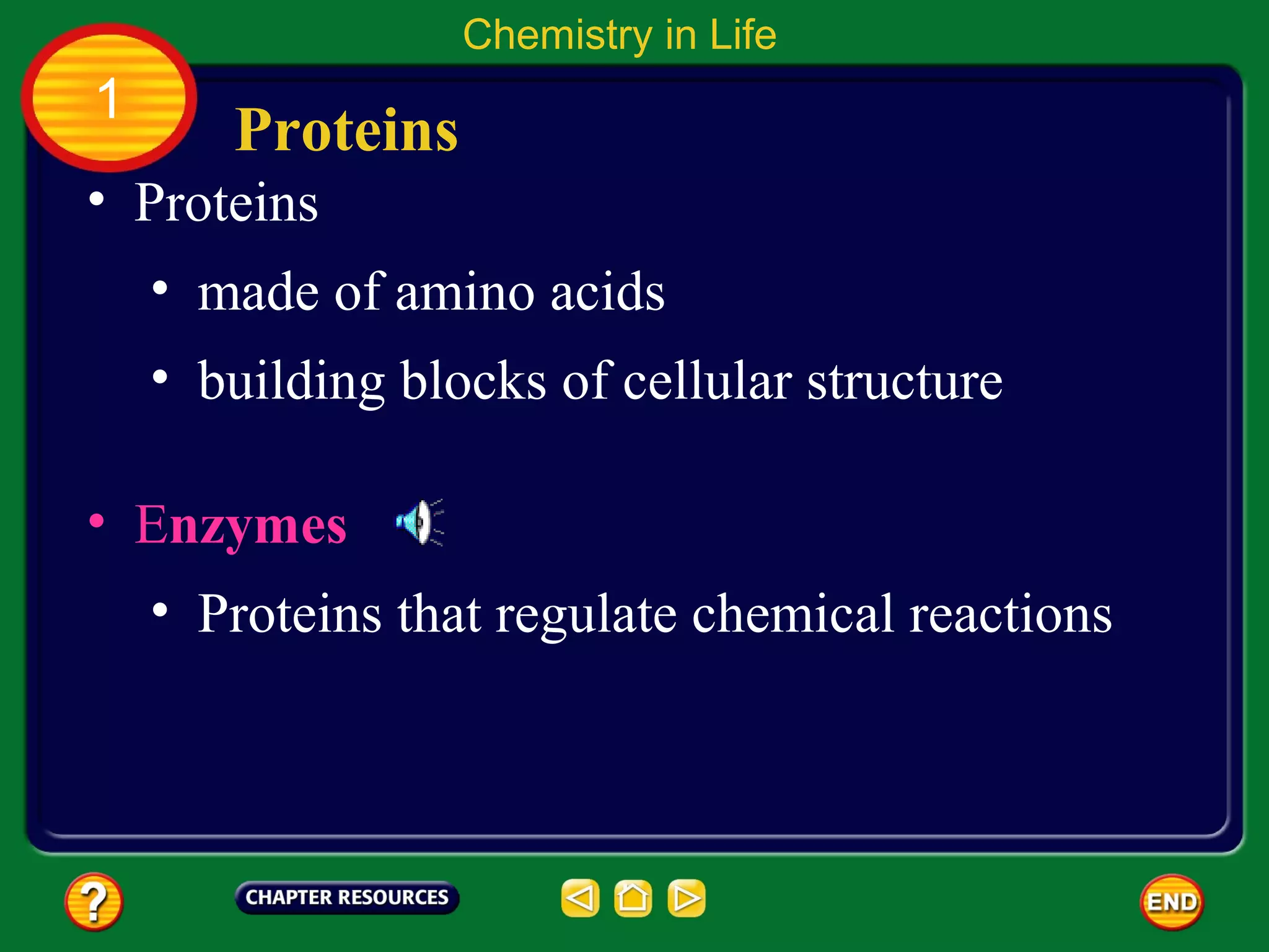 Chemistry in Life
1
       Proteins
• Proteins
    • made of amino acids
    • building blocks of cellular structure

• Enzymes
    • Proteins that regulate chemical reactions
 