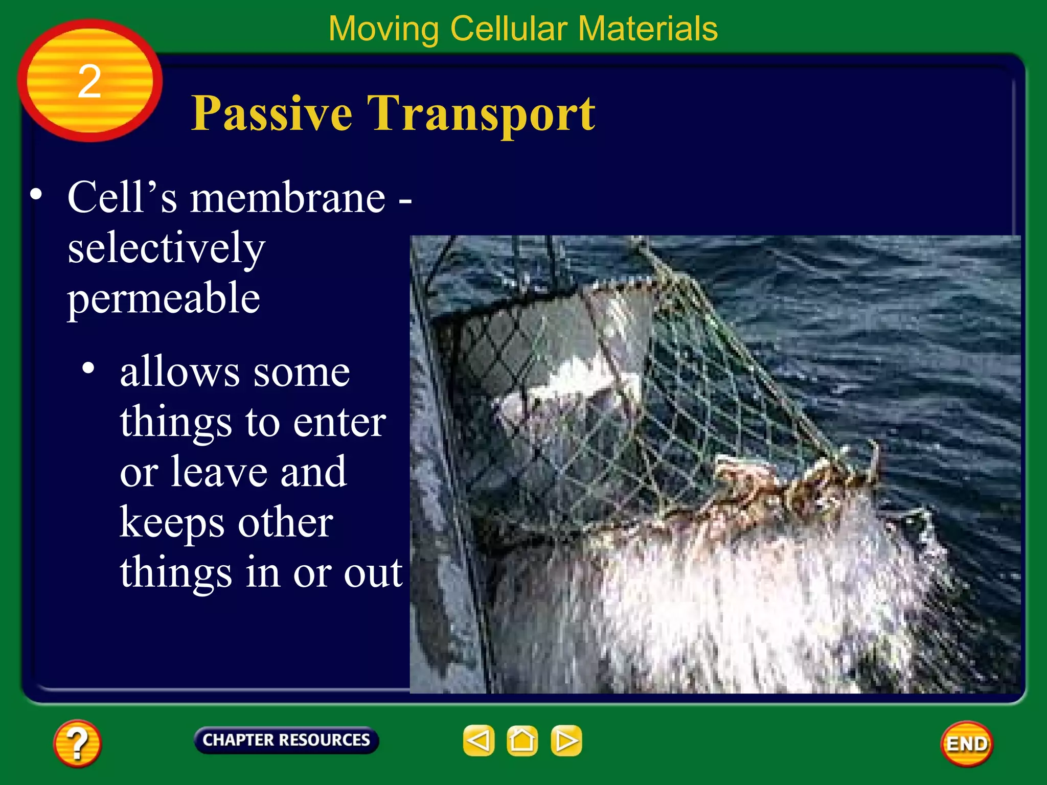 Moving Cellular Materials
  2
        Passive Transport
• Cell’s membrane -
  selectively
  permeable
  • allows some
    things to enter
    or leave and
    keeps other
    things in or out
 