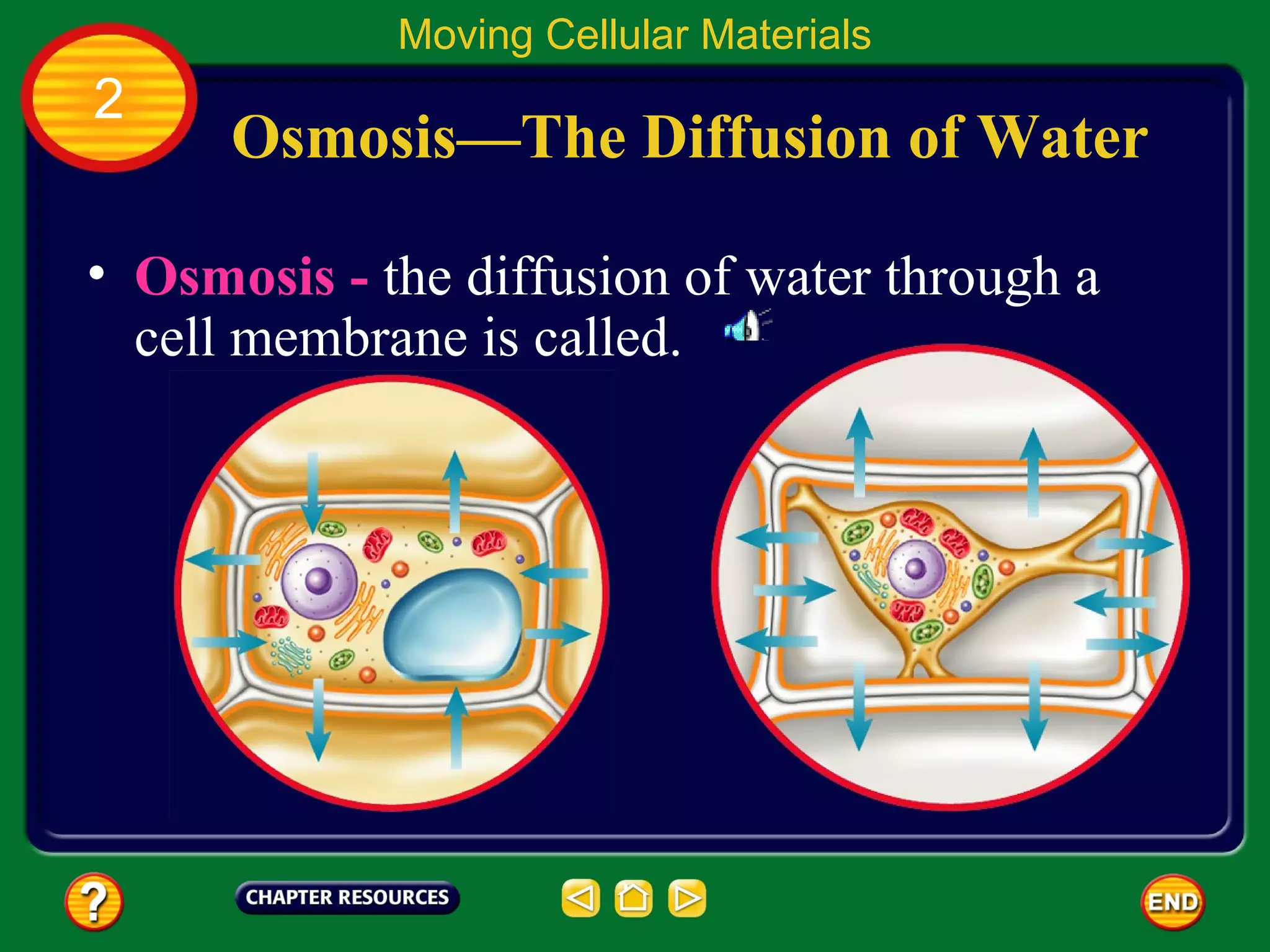 Moving Cellular Materials
2
      Osmosis—The Diffusion of Water

• Osmosis - the diffusion of water through a
  cell membrane is called.
 