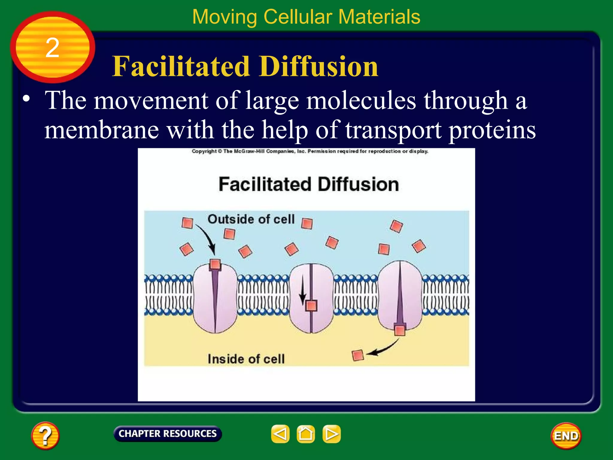 Moving Cellular Materials
  2
        Facilitated Diffusion
• The movement of large molecules through a
  membrane with the help of transport proteins
 