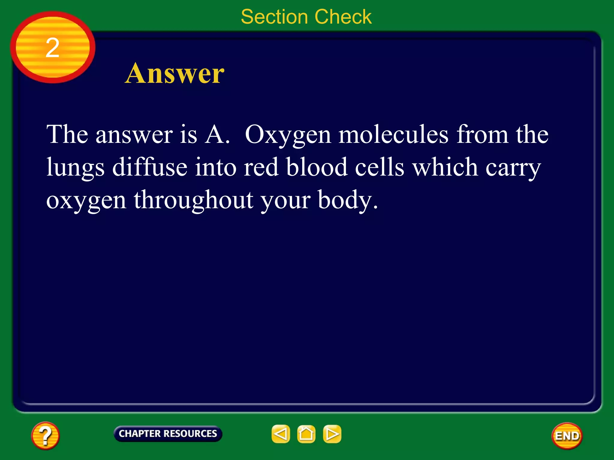 Section Check
2
       Answer
The answer is A. Oxygen molecules from the
lungs diffuse into red blood cells which carry
oxygen throughout your body.
 