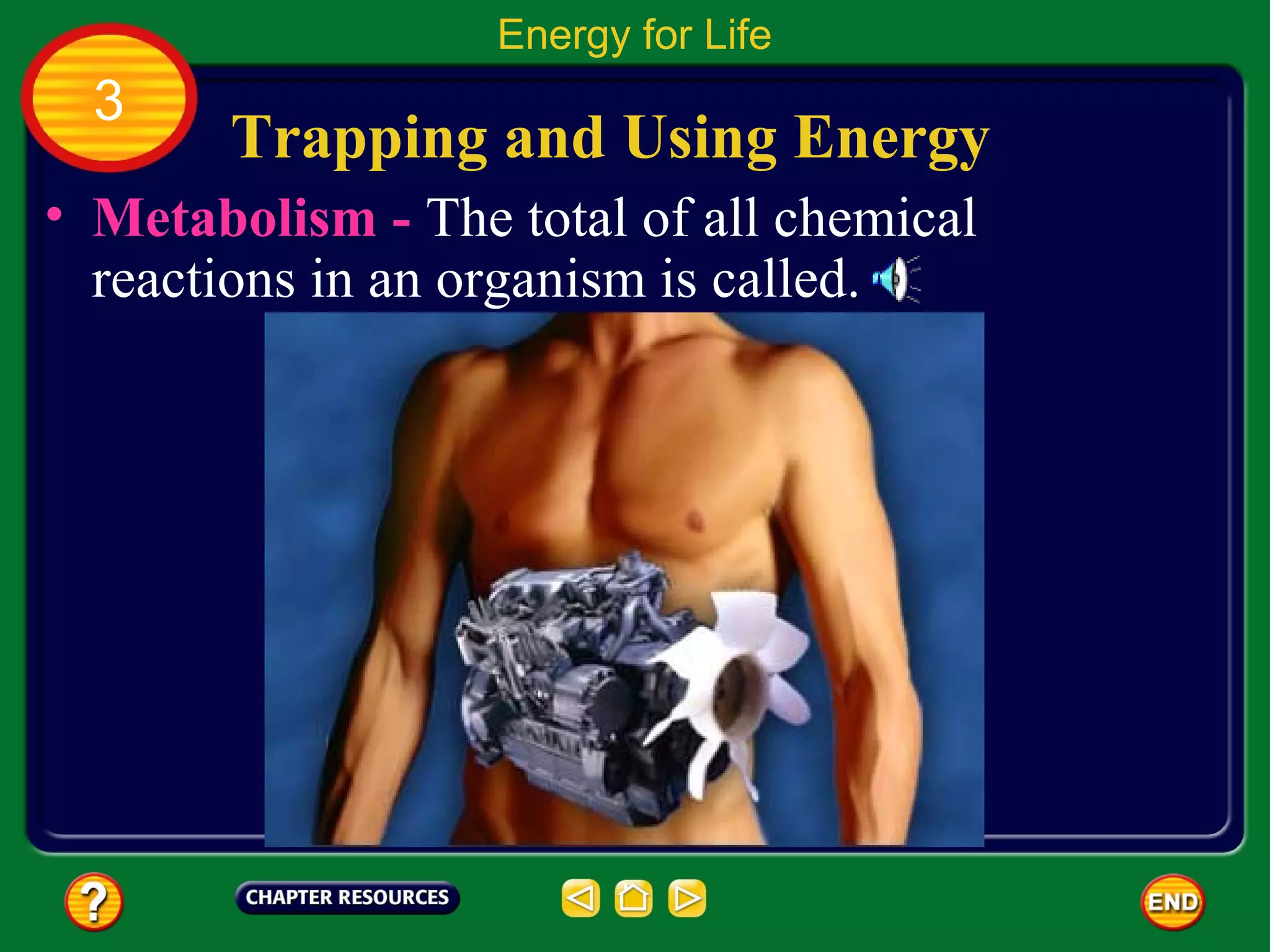 Energy for Life
  3
       Trapping and Using Energy
• Metabolism - The total of all chemical
  reactions in an organism is called.
 