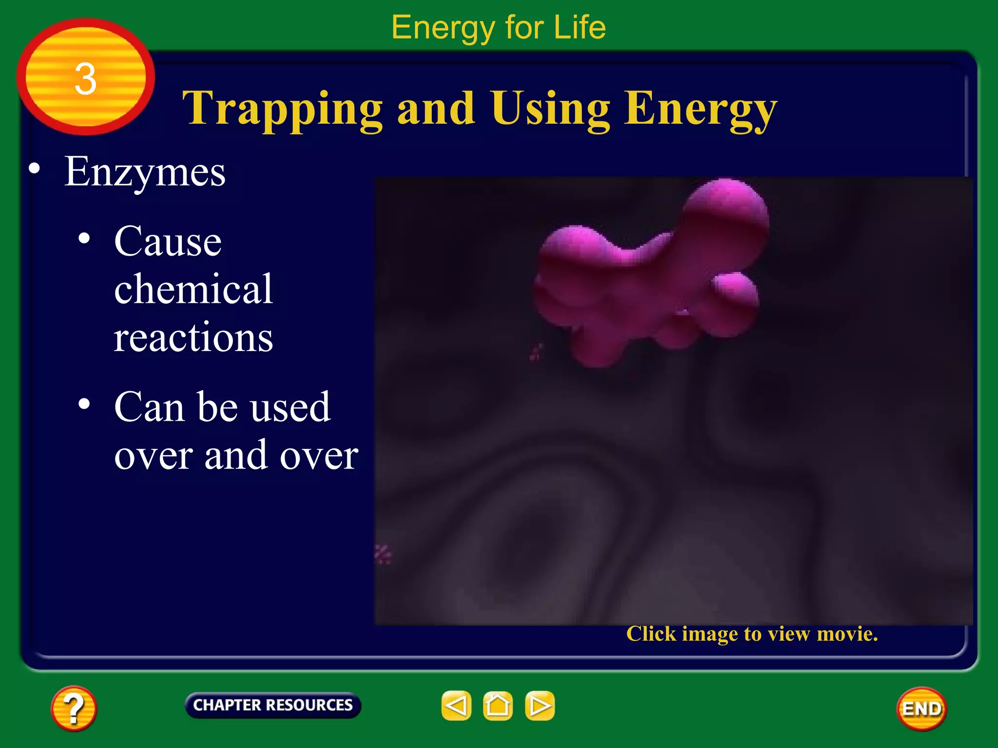Energy for Life
  3
       Trapping and Using Energy
• Enzymes
  • Cause
    chemical
    reactions
  • Can be used
    over and over


                                      Click image to view movie.
 