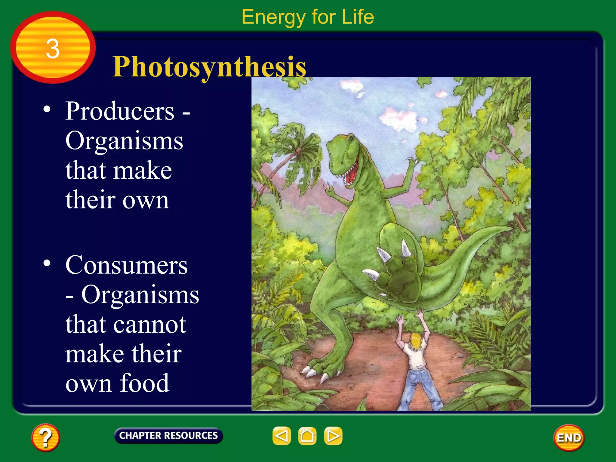 Energy for Life
3
      Photosynthesis
• Producers -
  Organisms
  that make
  their own

• Consumers
  - Organisms
  that cannot
  make their
  own food
 