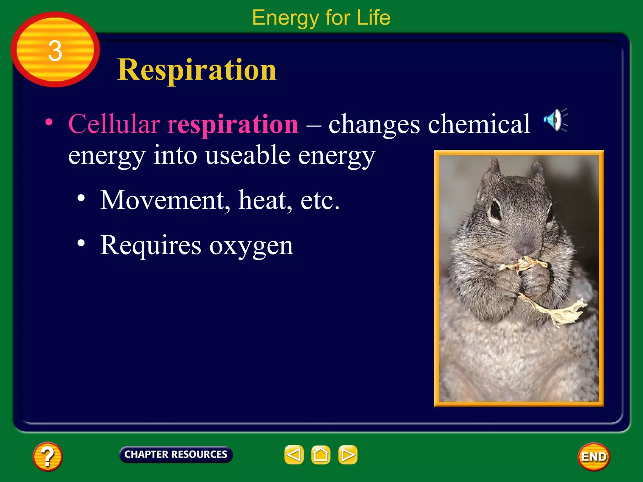Energy for Life
3
       Respiration
• Cellular respiration – changes chemical
  energy into useable energy
    • Movement, heat, etc.
    • Requires oxygen
 