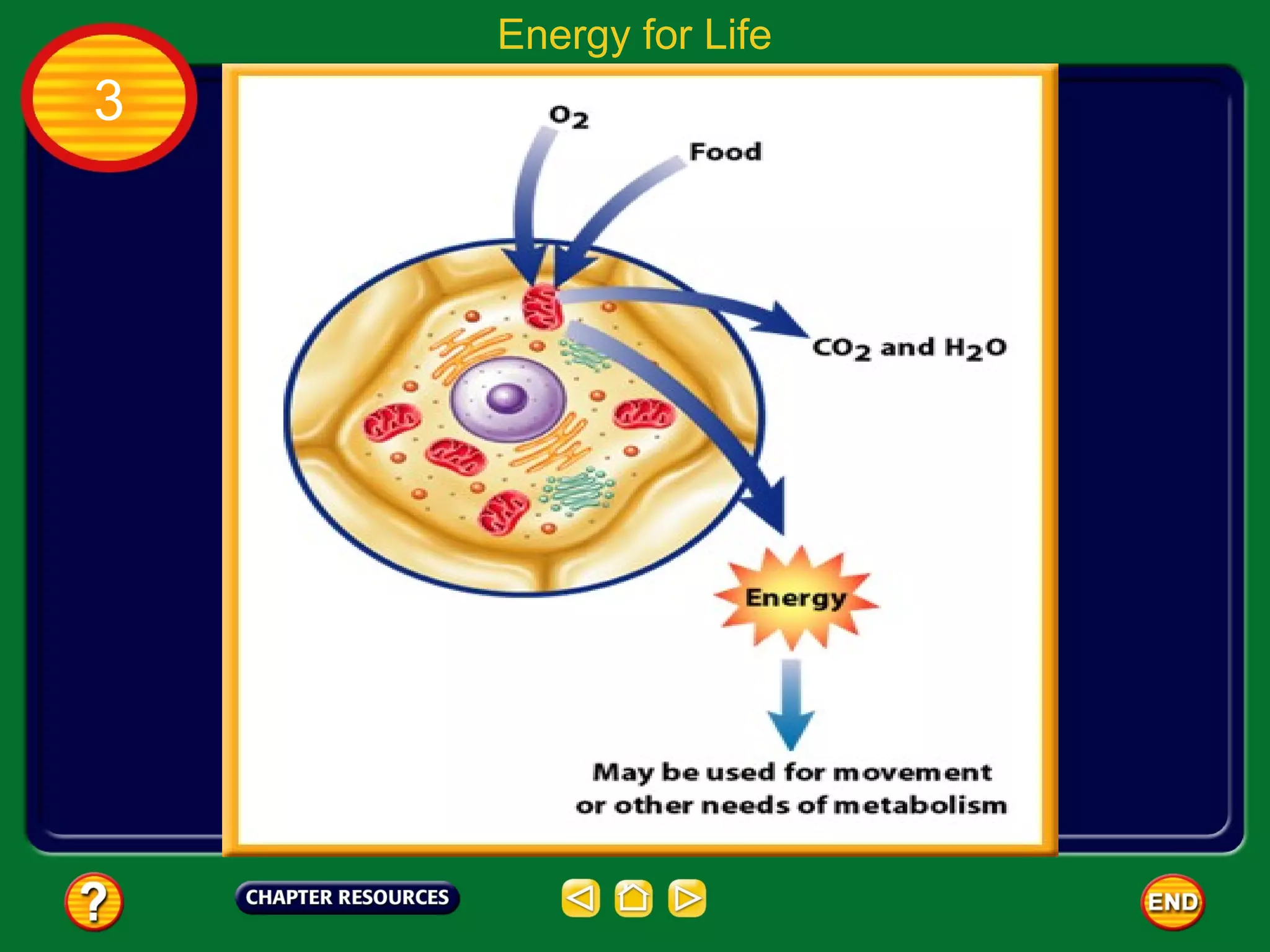 Energy for Life
3
 